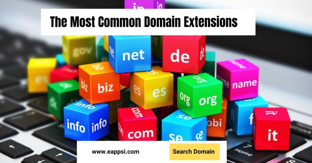 the most common domain name extensions